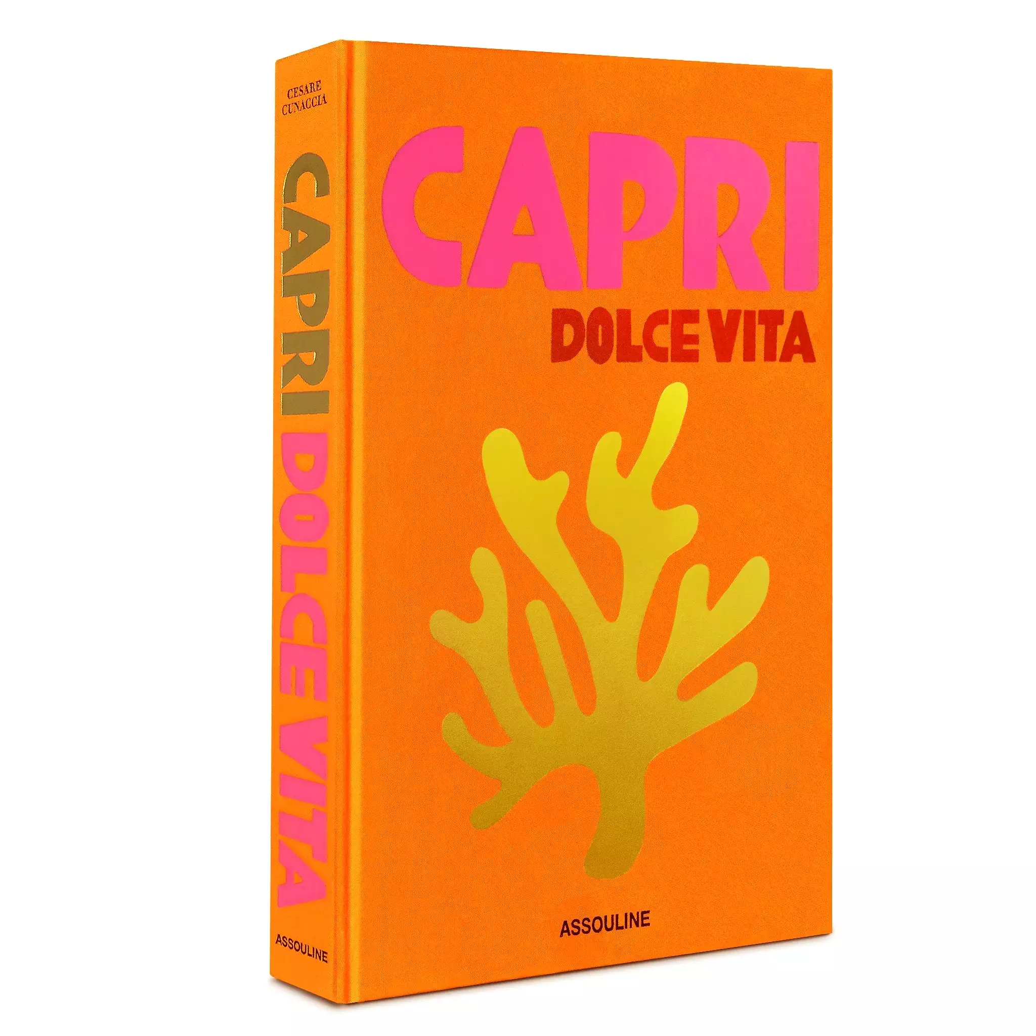 ASSOULINE Capri Dolce Vita Hardcover Book by Cesare Cunaccia